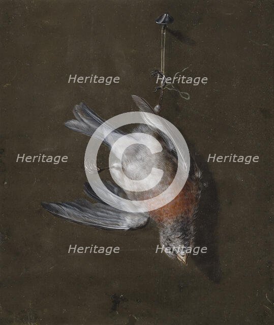 Linnet, 1830-1839. Creator: Wilhelm von Wright.