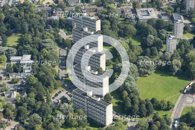 Alton West Estate, Roehampton, London, 2021. Creator: Damian Grady.