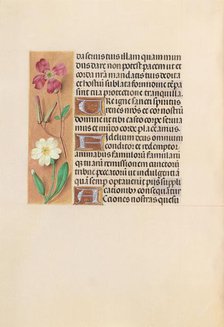 Hours of Queen Isabella the Catholic, Queen of Spain: Fol. 217v, c. 1500. Creator: Master of the First Prayerbook of Maximillian (Flemish, c. 1444-1519); Associates, and.