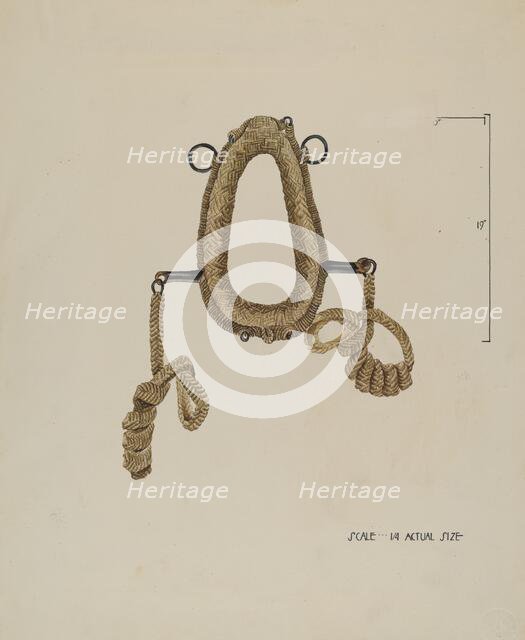 Collar For Burro, c. 1936. Creator: Roberta Elvis.