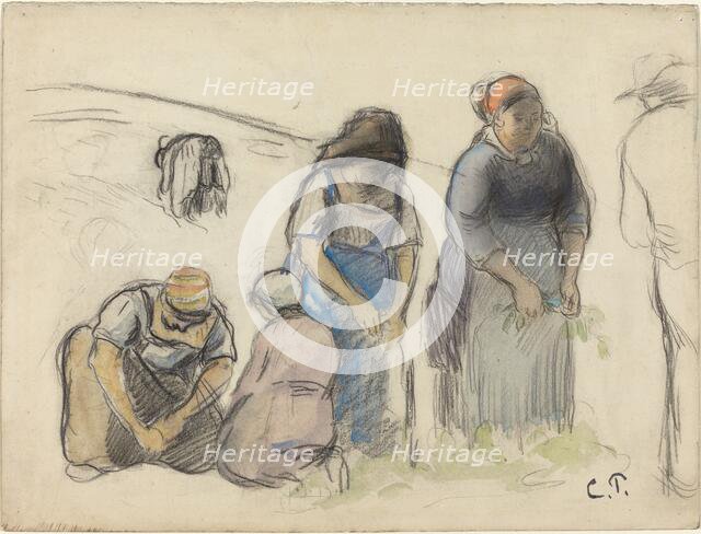 Pea Harvesters [recto], c. 1880. Creator: Camille Pissarro.