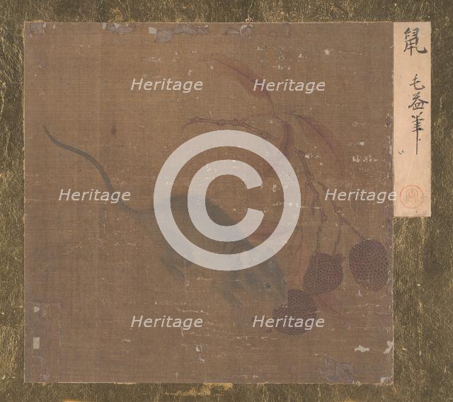 Mouse Eating Lichee Fruit. Creator: Unknown.