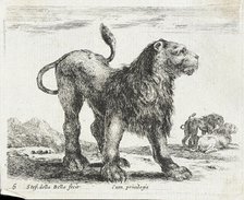 A Lion, 1641. Creator: Stefano della Bella.