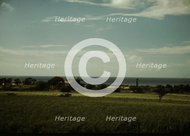 The coast of St. Thomas? Virgin Islands, 1941. Creator: Jack Delano.