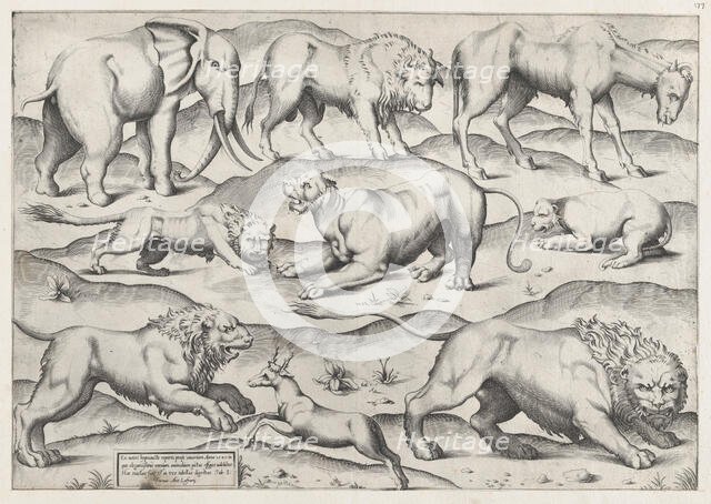 Speculum Romanae Magnificentiae: Wild Animals, from antique wall paintings, plate 1, 1547., 1547. Creator: Anon.