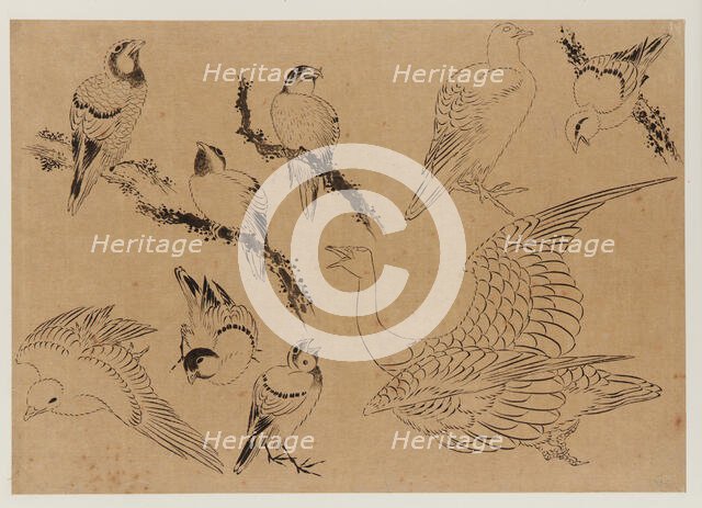 Birds, Edo period, late 18th-early 19th century. Creator: Hokusai.