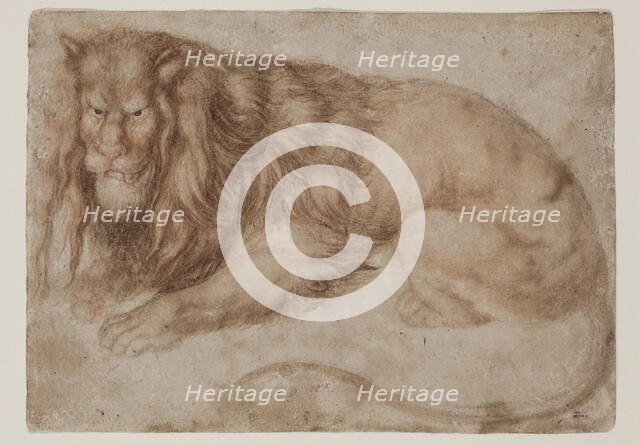 Recumbent Lion, between 1494 and 1495. Creator: Albrecht Durer.