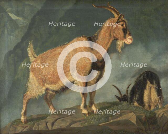 Goats in the Alps, 1834. Creator: Christian Frederik Carl Holm.
