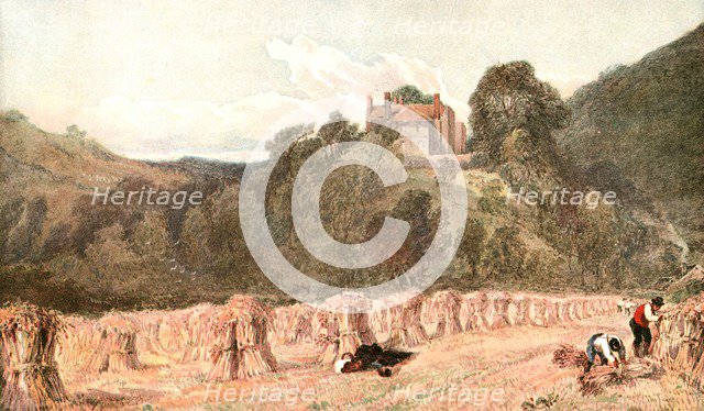 'A Cornfield', c1840s, (c1900).  Creator: Unknown.