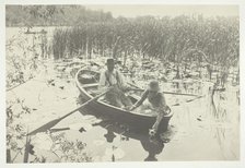 Gathering Water-Lilies, 1886, printed 1886. Creator: Peter Henry Emerson.