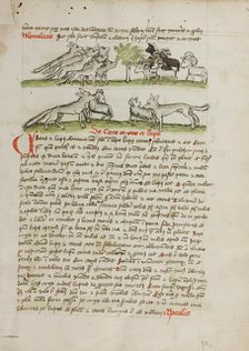 A Herd of Wolves Attacking a Flock of Rams; Fables, third quarter of 15th century. Creator: Unknown.