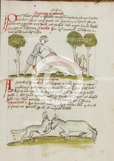 A Young Man in a Bed under which is a Snake: A Donkey..., third quarter of 15th century. Creator: Unknown.