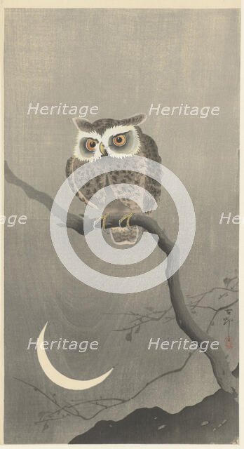 Long-eared owl on bare tree branch. Creator: Ohara, Koson (1877-1945).