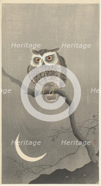 Long-eared owl on bare tree branch. Creator: Ohara, Koson (1877-1945).