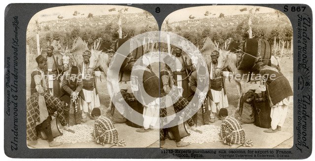 Experts purchasing silk cocoons, for export to France, Antioch, Syria, 1900s.Artist: Underwood & Underwood