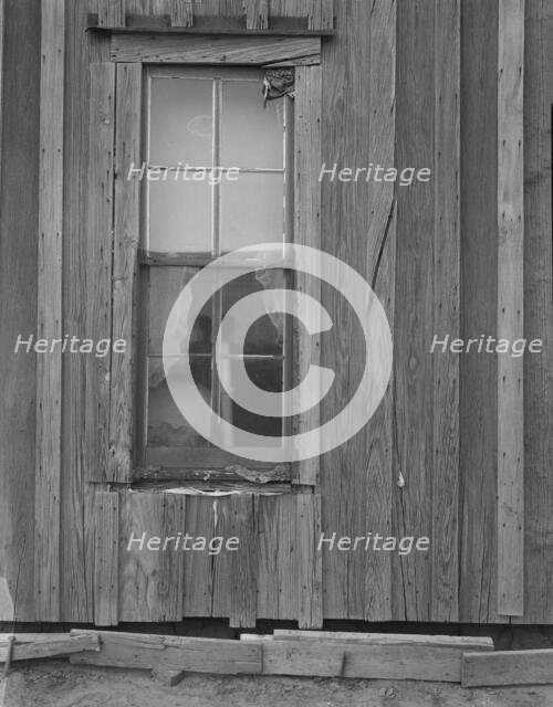 Detail of Texas Panhandle tenant farmer's house, 1937. Creator: Dorothea Lange.