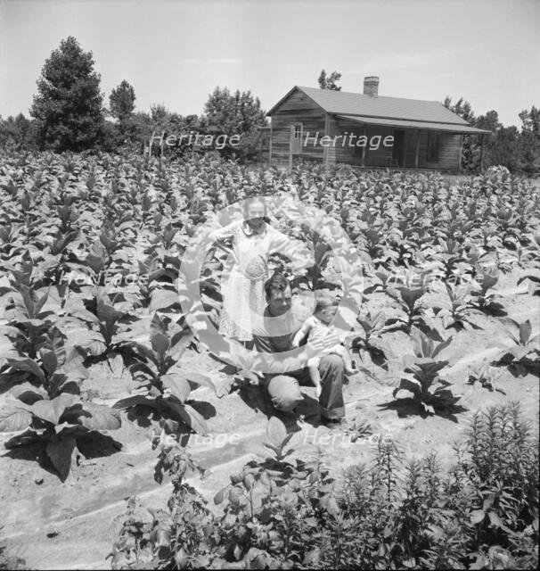 Sharecropper with wife and child in their..., near Chapel Hill, North Carolina, 1939. Creator: Dorothea Lange.