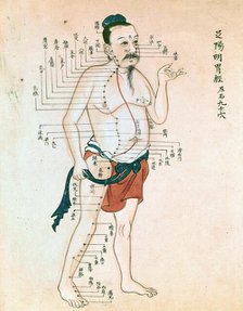 Acupuncture chart with a series of points indicated on the figure of a standing Chinese man. Creator: Unknown.