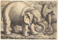 Elephant and Camel, 17th century (?). Creator: Wenceslaus Hollar.