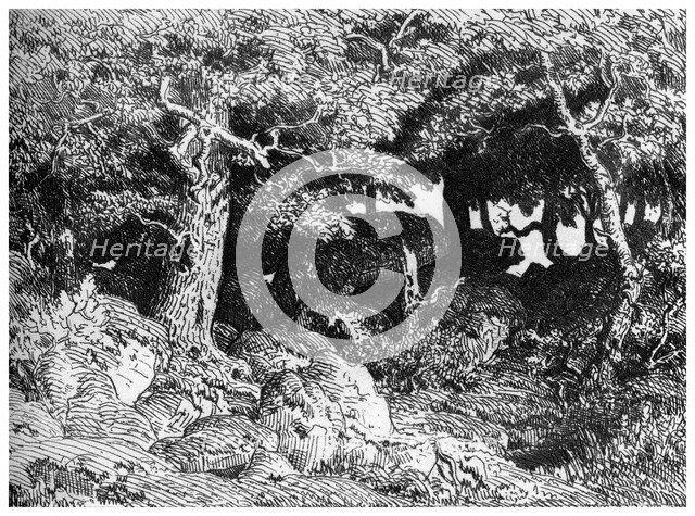 'Les Chenes de Roche', c1832- 1860, (1924). Artist: Theodore Rousseau