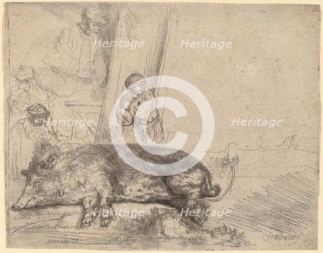 The Hog, 1643. Creator: Rembrandt Harmensz van Rijn.