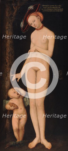 Venus with Cupid the Honey Thief, 1531.