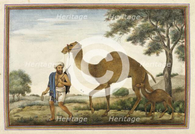 Ribari, a caste of camel-men, 1825. Creator: Anon.