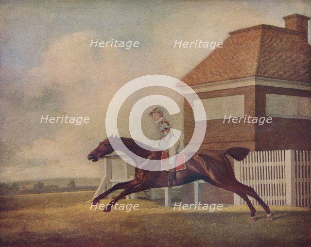 'Mr. Ogilvy's Bay Racehorse Trentham at Newmarket with Jockey up', 1771. Artist: George Stubbs.
