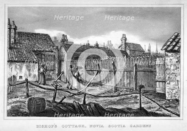 Bishop's cottage, Nova Scotia Gardens, Bethnal Green, London, c1850. Artist: Anon