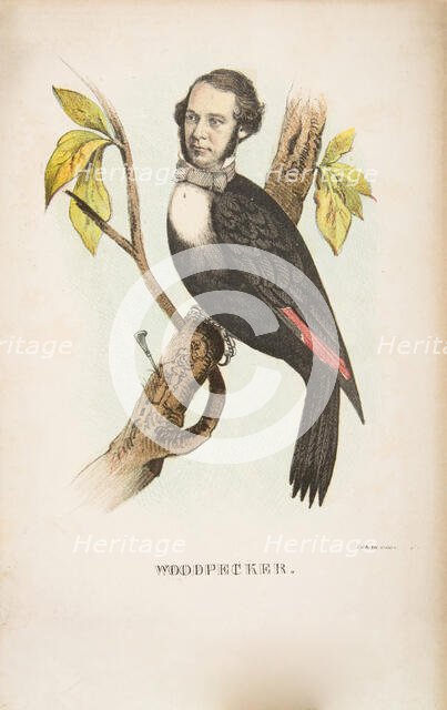 Woodpecker (William B. Gihon), from The Comic Natural History of the Human Race, 1851. Creators: Henry Louis Stephens, L. Rosenthal.