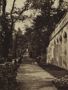 Orangery and Flower Garden at Singleton, Glamorganshire, 1854. Creator: W. Graham Vivian (British, 1827-1912); Photographic Exchange Club.