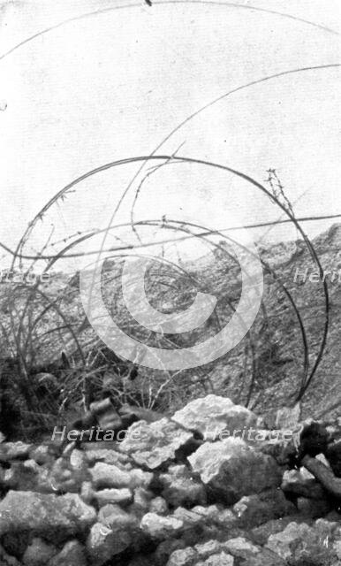 Life in the trenches in Champagne; In the wires of an adjoining trench..., 1917. Creator: Unknown.