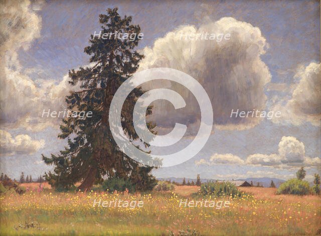 Spruce Tree in a Summer Pasture. Norway, 1914. Creator: Niels Skovgaard.