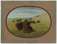 A Buffalo Wallow, 1861/1869. Creator: George Catlin.