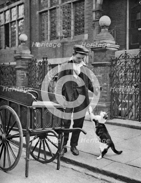 'Cat's meat man',  London, 1926-1927. Artist: McLeish