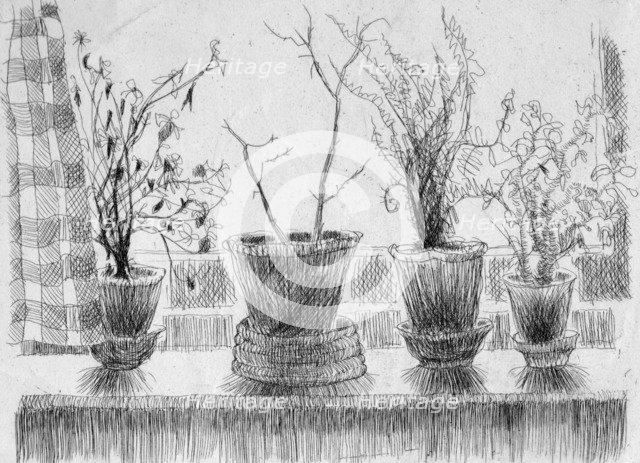 Dead plants on a windowsill, 1952. Creator: Shirley Markham.