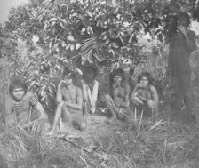 'Nambikwara Indians of the State of Matto Grosso, pacified by Colonel Rondon, but not yet fully dr Artist: Unknown.