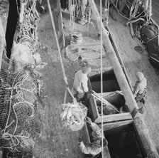 Dock stevedores at the Fulton fish market sending up baskets of fish from..., New York, 1943. Creator: Gordon Parks.