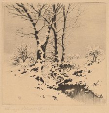 Snow, c. 1910. Creator: George Elbert Burr.