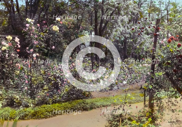 "Willowmere," Rear Admiral Aaron Ward house, 435 Bryant Avenue, Roslyn Harbor, New York, c1914. Creator: Frances Benjamin Johnston.
