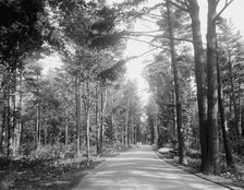 Carriage drive to High Lawn House, Lenox, Mass., c.between 1910 and 1920. Creator: Unknown.