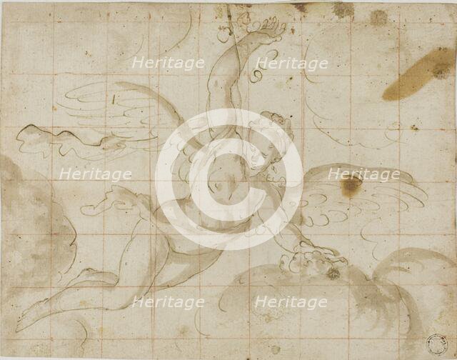 Iris, n.d. Creator: Unknown.