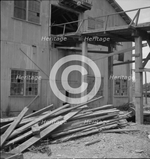 Lumber mill which is being dismantled at Careyville, Florida, 1937. Creator: Dorothea Lange.