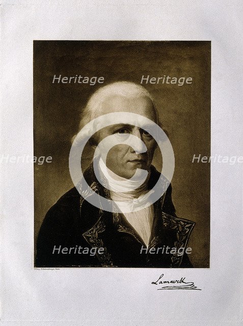 Jean-Baptiste Pierre Antoine de Monet, Chevalier de Lamarck (1744-1829), 1801.