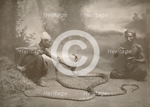 'Snake Charrmers with Hamadryads (Kuy Cobras)', 1900. Creator: Unknown.
