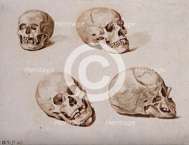 Four sketches of skulls, 1817. Creator: Unknown.