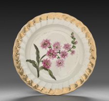 Plate from Dessert Service: Double Stock, c. 1800. Creator: Derby (Crown Derby Period) (British).