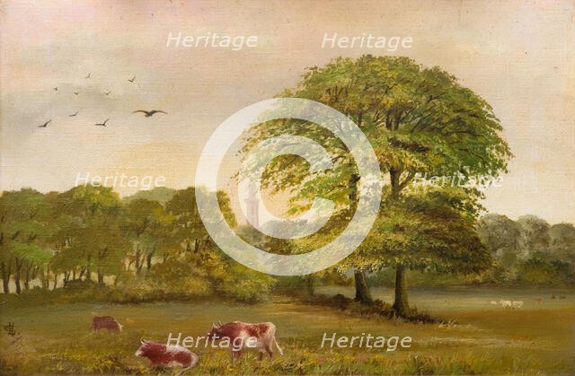 Tower Edgbaston Pumping Station, 1894. Creator: Vale.