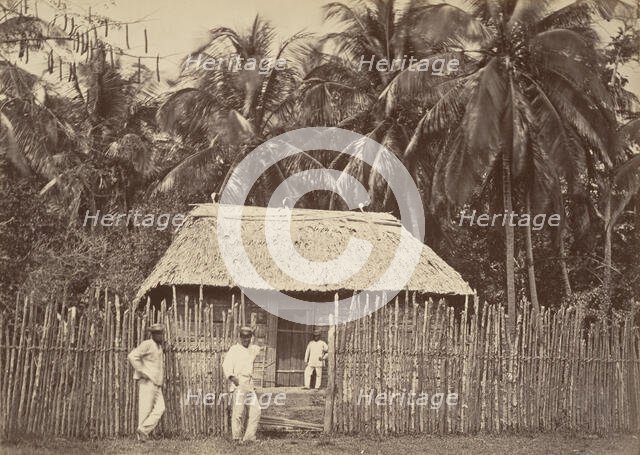 Tropical Scenery, Native Hut, Turbo, 1871. Creator: John Moran.