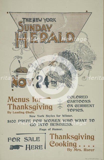 The New York Sunday herald. Nov. 28th., c1895. Creator: Charles Hubbard Wright.